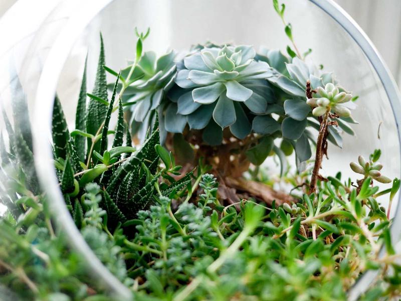 溯源引擎<br>图片/视频反向搜源